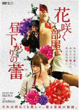 长安十二时辰电影版 星辰影视最新版